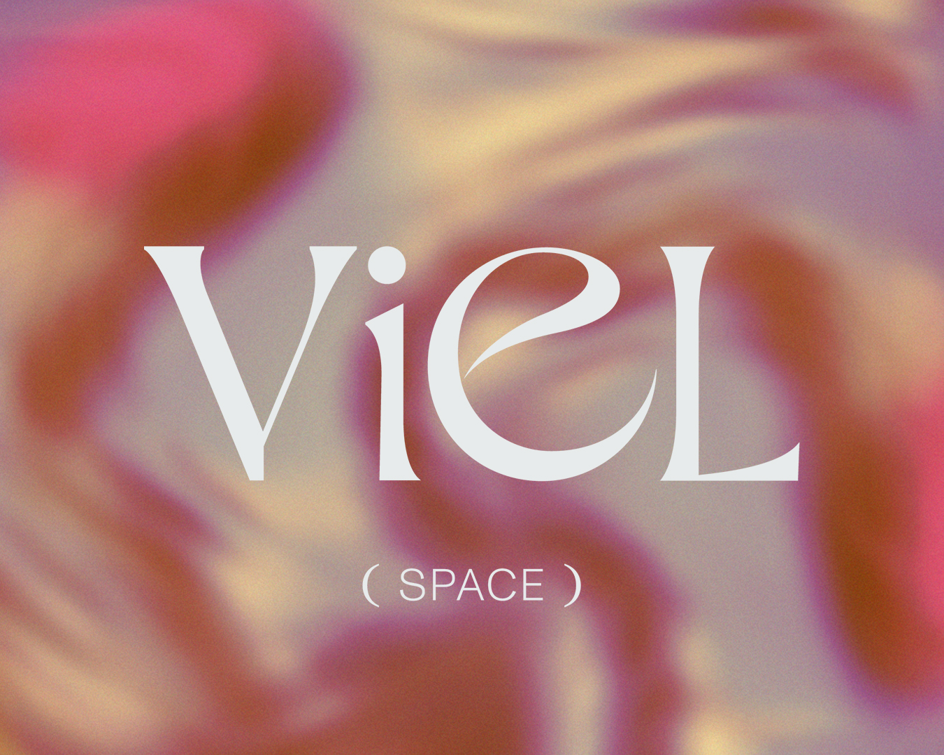 VieL (SPACE)